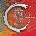 Okładka Płyty Tomasz Wendt Trio & Atom String Quartet - Behind the Strings